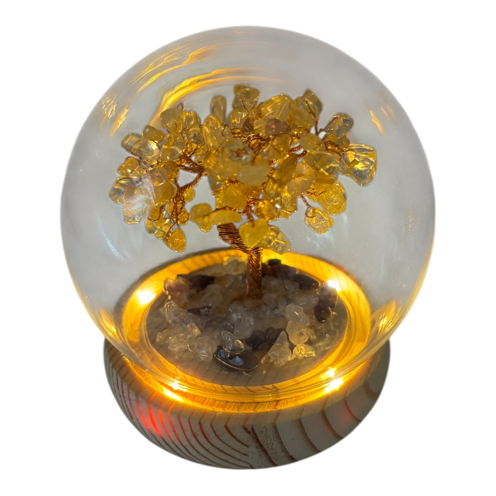 Leuchtender Glücksbringer: Kristall-Geldbaum in eleganter Glaskugel